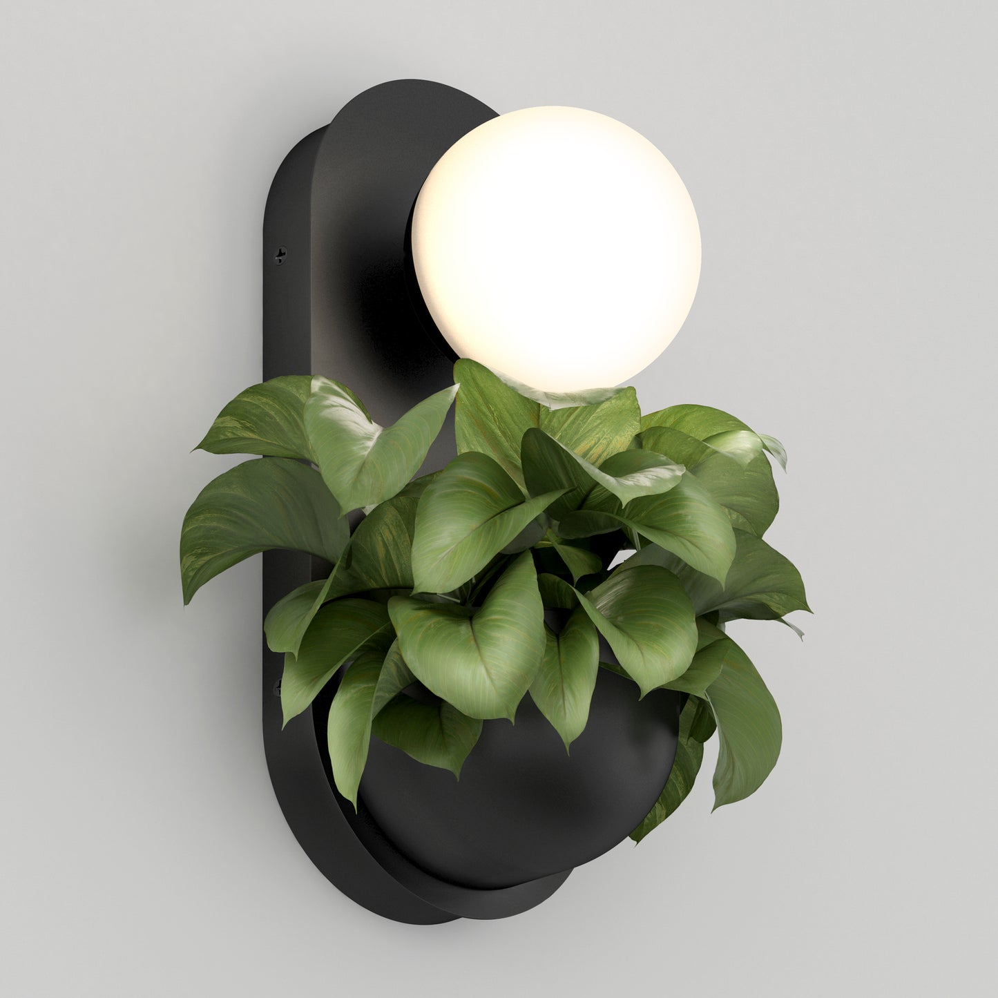 The Artika Bloomfield LED modern mid-century wall sconce 5 CCT features a round white light above a lush green plant on a black curved base, mounted on a light gray wall.