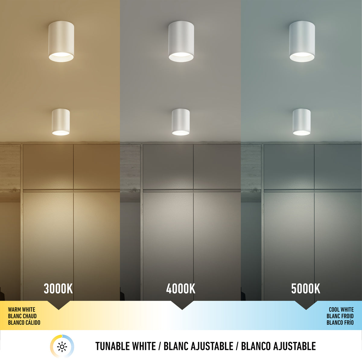 Radius LED flush mount light 3 CCT
