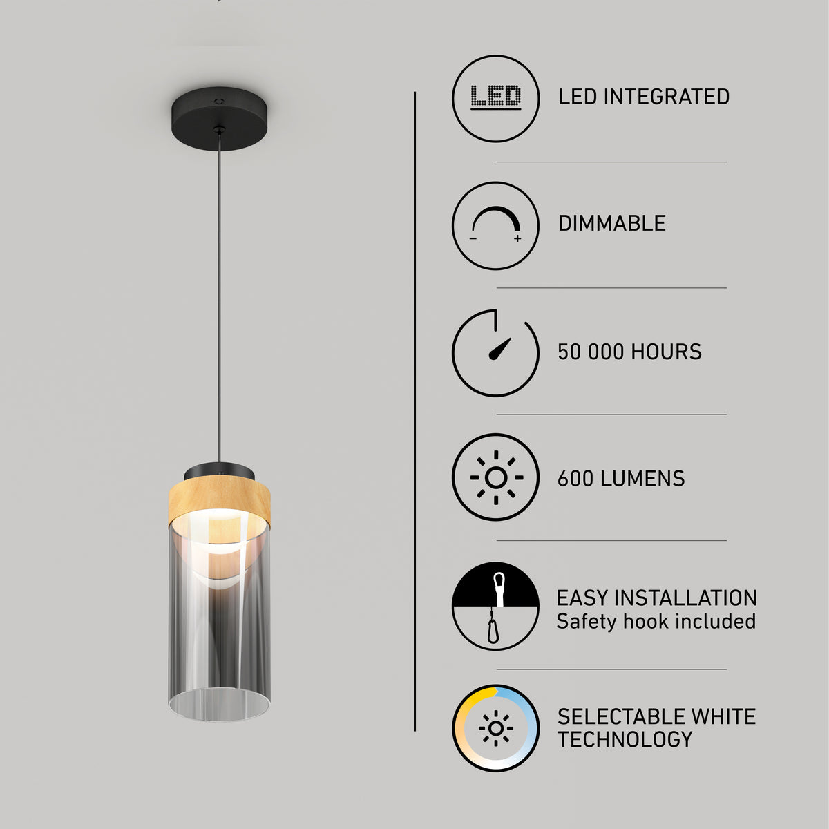 Hanson 1-light LED pendant 5 CCT