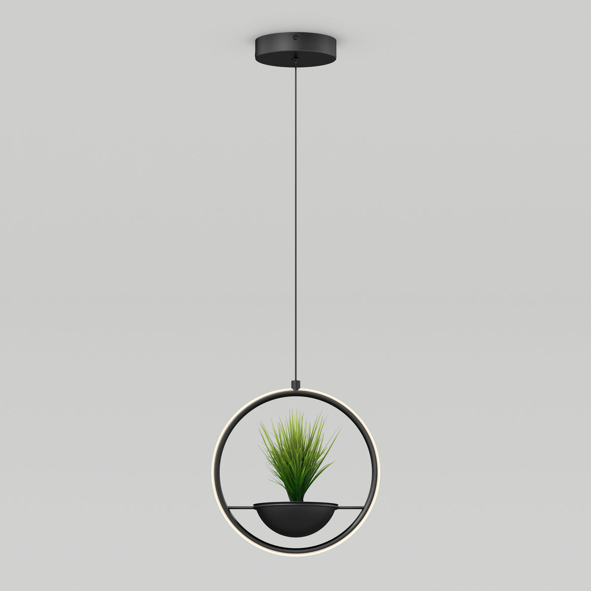 Colin LED modern planter pendant light 5 CCT