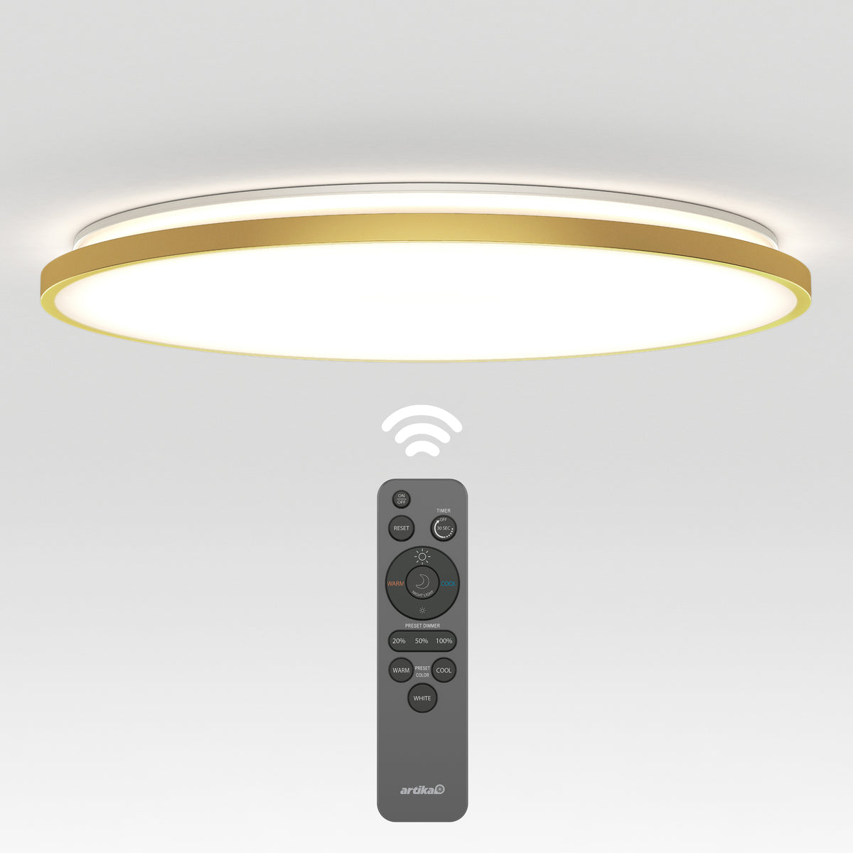Europa 21 in. LED modern flush mount light - with remote