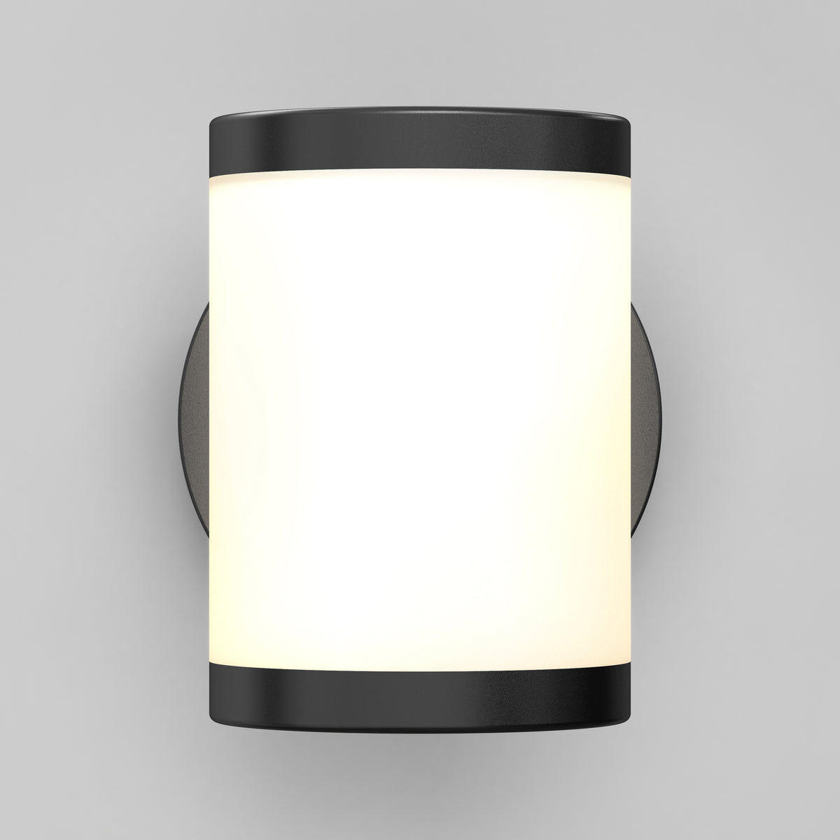 Landon LED Outdoor Wall Light 2-Pack
