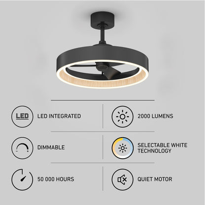 Alton 24 in. LED modern ceiling fan 3 speeds - with remote
