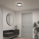 A modern hallway with light gray walls, a round mirror above a black floating bench, a small plant on the bench, a gray door, a potted plant in the corner, and a ceiling light fixture.