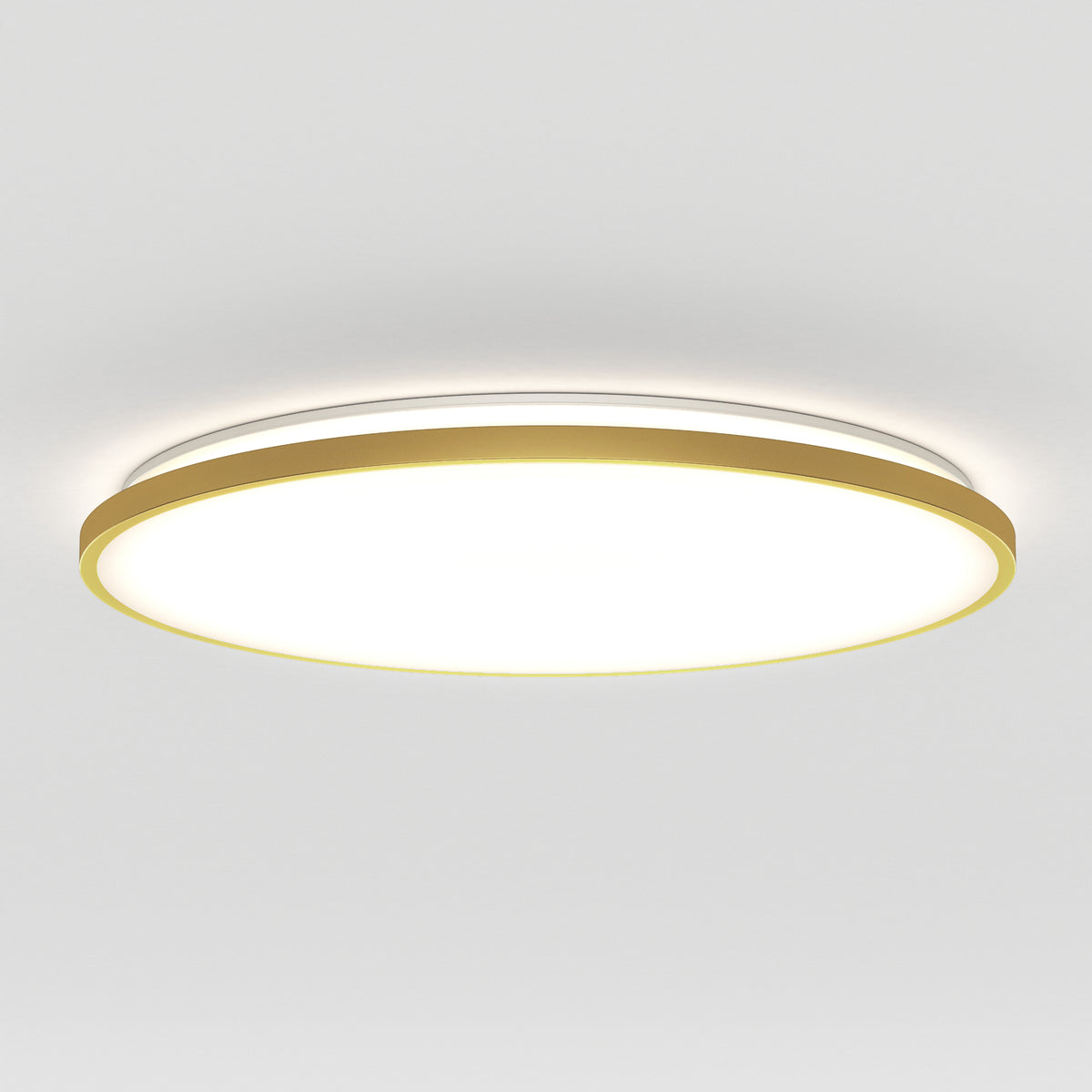 Europa 21 in. LED modern flush mount light - with remote