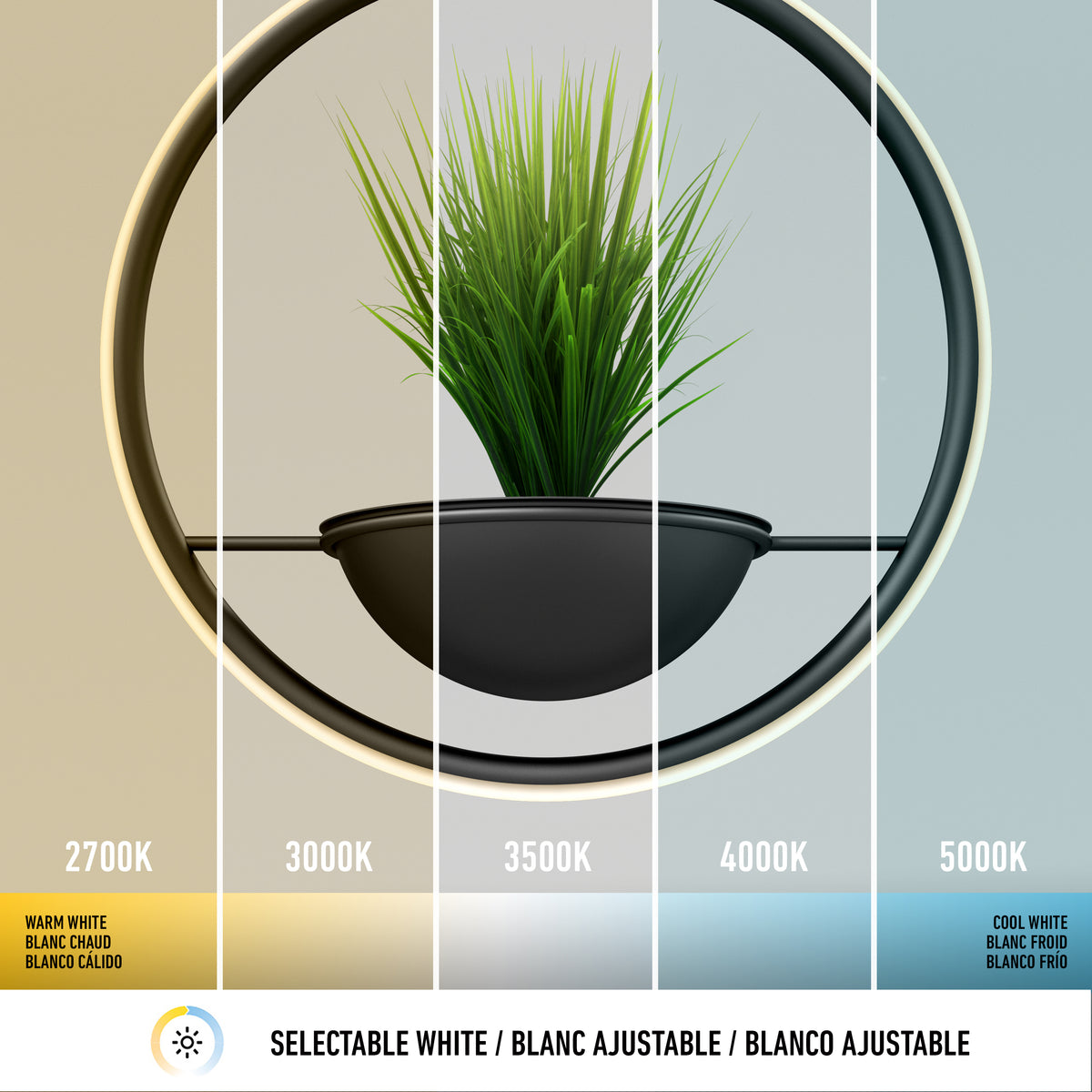 A potted plant sits in a round modern frame, shown under five different light temperatures, ranging from warm 2700K on the left to cool 5000K on the right. Text labels each light temperature.