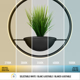 A potted plant sits in a round modern frame, shown under five different light temperatures, ranging from warm 2700K on the left to cool 5000K on the right. Text labels each light temperature.