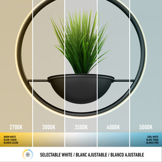 The Artika Colin LED modern planter pendant light 5 CCT displays a potted plant in a circular frame under five selectable color temperatures, from warm white (2700K) to cool white (5000K).