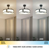 Ceiling light fixture shown with three color temperatures: left side emits warm white (2700K), center is neutral, and right side emits cool white (6000K). Room background changes with each light setting.