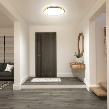 Modern hallway featuring the Artika Europa 21 in. LED modern flush mount light with remote, a dark wooden front door, gray wood floors, floating shelf with round mirror and plant, rug by the door, and a glimpse of the living room with a dark sofa.