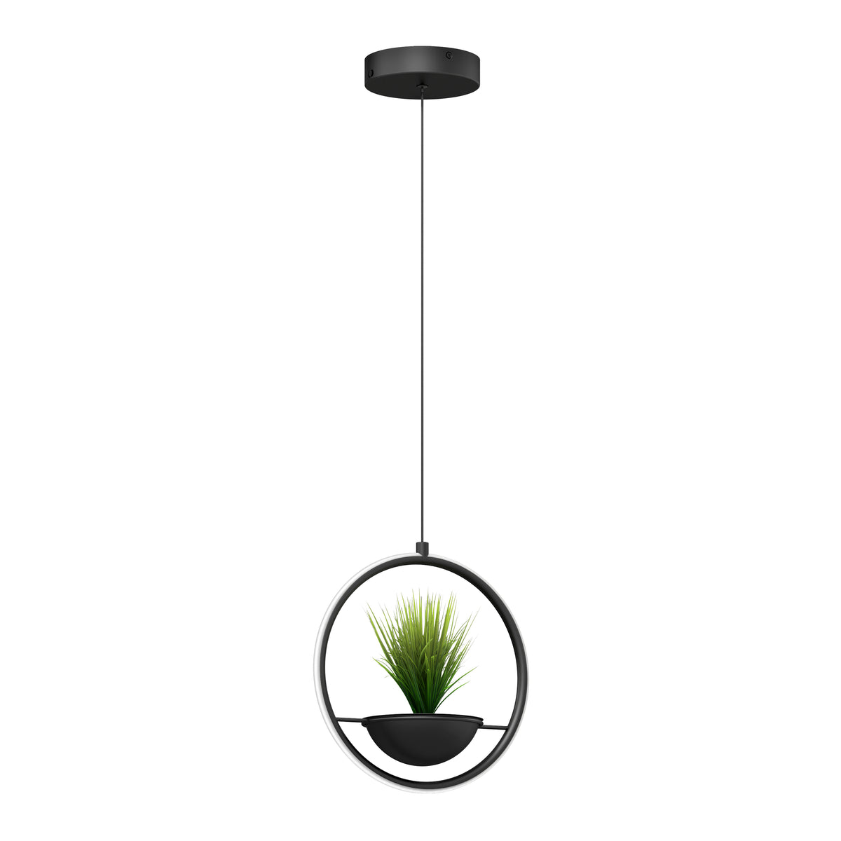 A modern pendant light with a circular black frame, featuring a small green potted plant in the center, suspended by a cord from a black ceiling mount.
