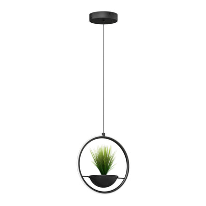 The Artika Colin LED Modern Planter Pendant Light 5 CCT features a circular frame with a small green potted plant at the center, suspended from the ceiling by a black cord.