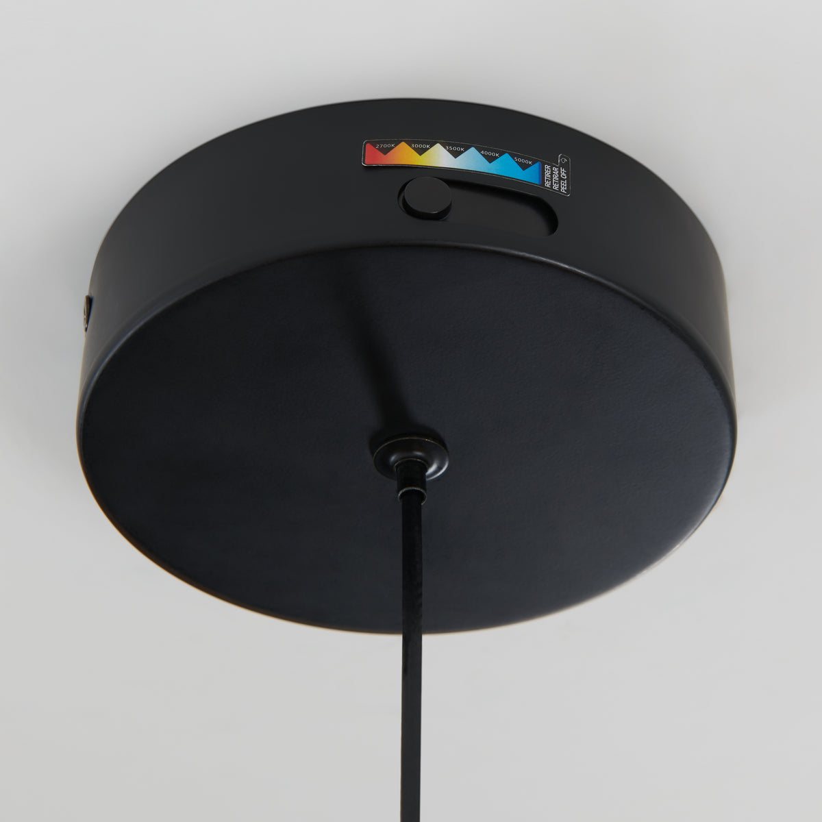 Raina LED pendant light 5 CCT