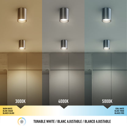 Radius lámpara de techo LED Integrado 3 CCT
