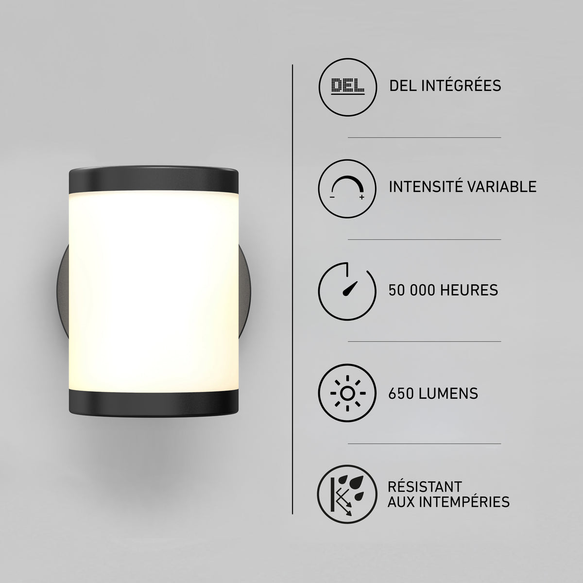 Landon LED Outdoor Wall Light 2-Pack