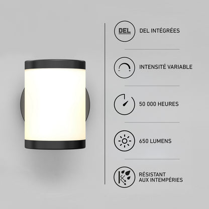 Landon LED Outdoor Wall Light 2-Pack