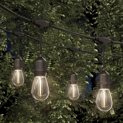 Artika Blaze 20 LED Outdoor Solar String Lights glow warmly at night, their exposed filament bulbs illuminating green leafy trees in your outdoor space.