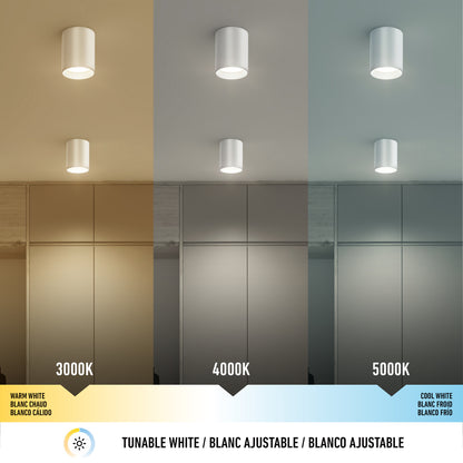 Radius LED flush mount light 3 CCT