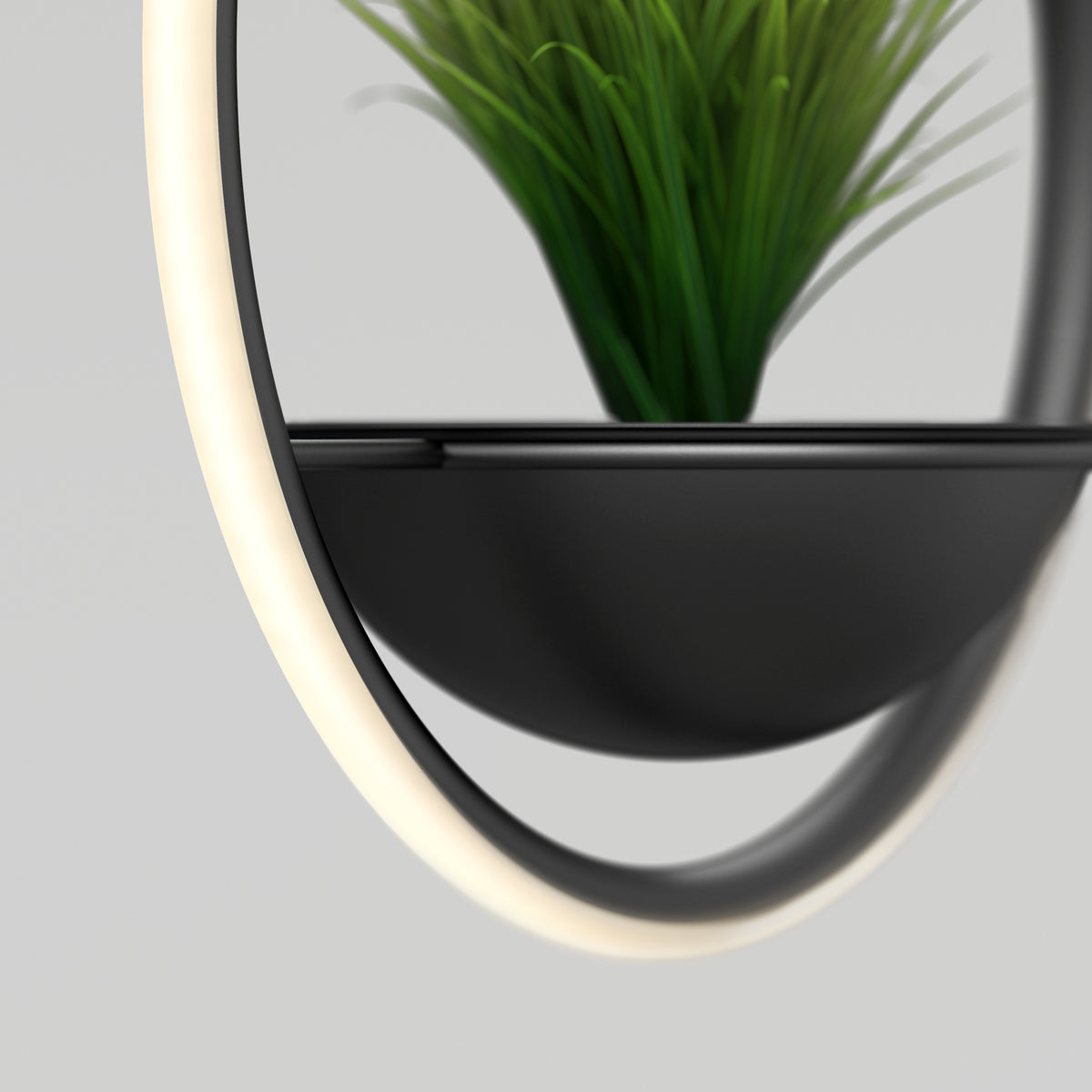 A close-up of a modern black circular shelf with a built-in LED light around the edge, holding a green plant, set against a plain light background.