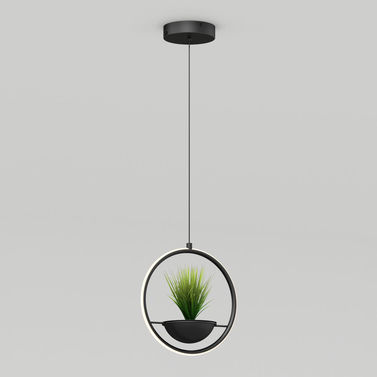 A modern pendant light with a circular frame, featuring a small potted green plant in the center, hangs from the ceiling against a plain light background.