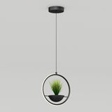 A modern pendant light with a circular frame, featuring a small potted green plant in the center, hangs from the ceiling against a plain light background.