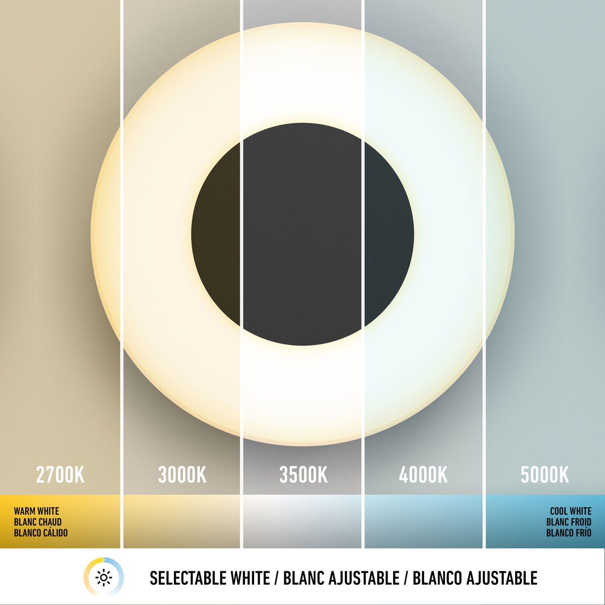 Ludwig  lámpara de pared LED moderno 5CCT