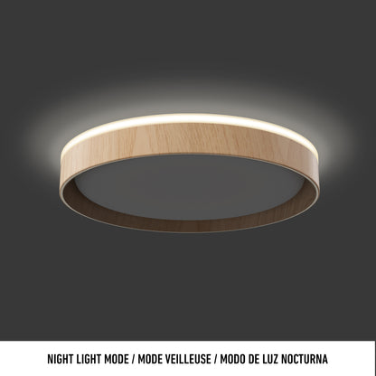Callisto 15 in. LED flush mount light 5 CCT