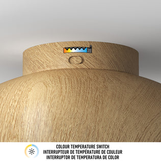 Adara 15 in. (38 cm) Modern LED Flush Mount Ceiling Light 5 CCT in light wood-tone with a color temperature switch sticker.