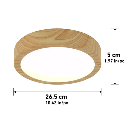 Dryad 10 in. modern LED flush mount light 5 CCT