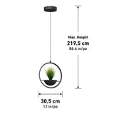 A circular hanging pendant light with a built-in planter, measuring 30.5 cm (12 in) wide and a maximum height of 219.5 cm (86.4 in). The planter holds a small green plant.