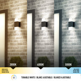 Three wall lights on brick exteriors show different color temperatures: warm white (3000K) on the left, neutral white (4000K) in the center, and cool white (5000K) on the right, with labels and a bush beneath each light.