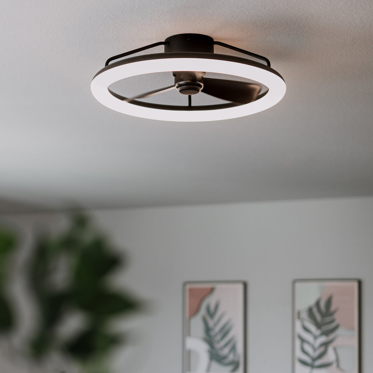 A modern ceiling fan with a circular LED light fixture mounted on a white ceiling. Blurred green leaves and two framed botanical prints are visible on the wall in the background.
