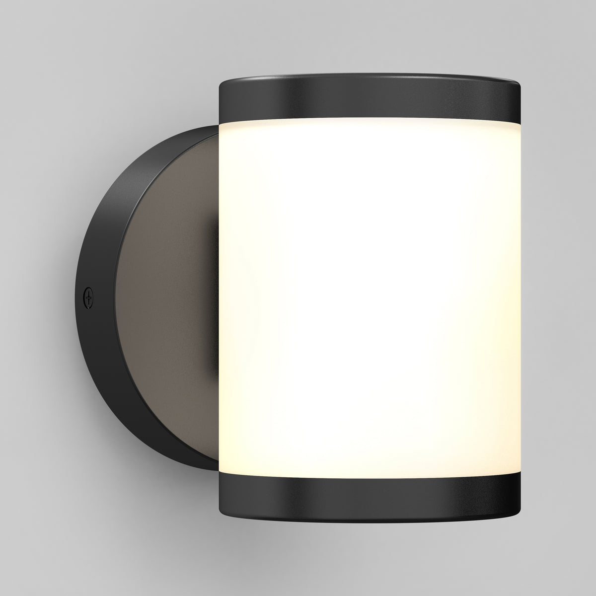 Landon LED Outdoor Wall Light 2-Pack