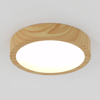 Dryad 10 in. modern LED flush mount light 5 CCT