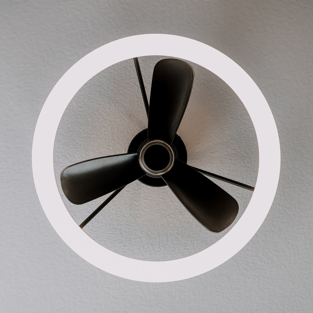 Darren 23 in. (58 cm) LED modern fandelier ceiling fan with light - includes remote