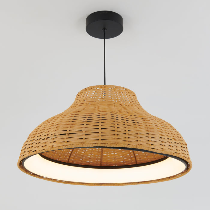 Raina LED pendant light 5 CCT