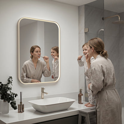Royce 24 in. x 32 in. (61 x 81 cm) Dimmable Anti-Fog LED Mirror