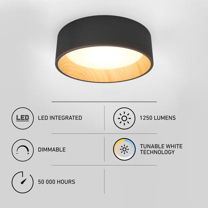 Alton LED flush mount