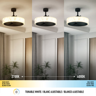 Artika Selena 23" LED modern ceiling fan features dimmable lighting in 3 colors, easily adjusted with the included remote control.