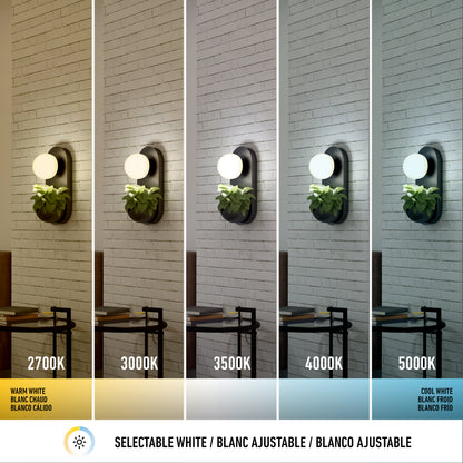 The Artika Bloomfield LED modern mid-century wall sconce 5 CCT is shown above a small table under five selectable white color temperatures, from warm (2700K) to cool (5000K), highlighting its adjustable white light settings.