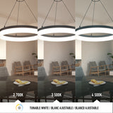 Side-by-side comparison of a modern living room lit by a ring pendant light at three color temperatures: warm (2700K), neutral (3500K), and cool white (4500K), showing changes in room ambiance.