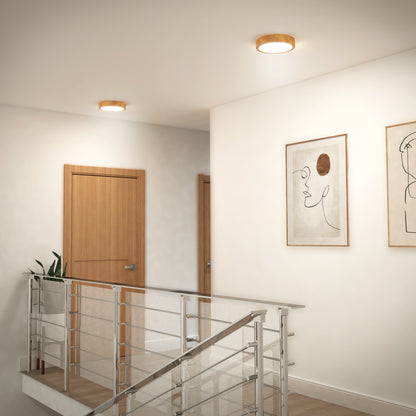 Dryad 10 in. modern LED flush mount light 5 CCT