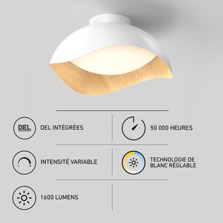 Adara 15 in. Modern LED Flush Mount Ceiling Light 5 CCT, a white dome-shaped light with a wood-look edge and icons showing technical specifications.