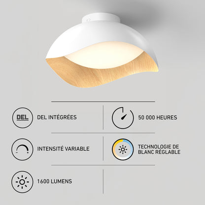 Adara 15 in. Modern LED Flush Mount Ceiling Light 5 CCT, a white dome-shaped light with a wood-look edge and icons showing technical specifications.