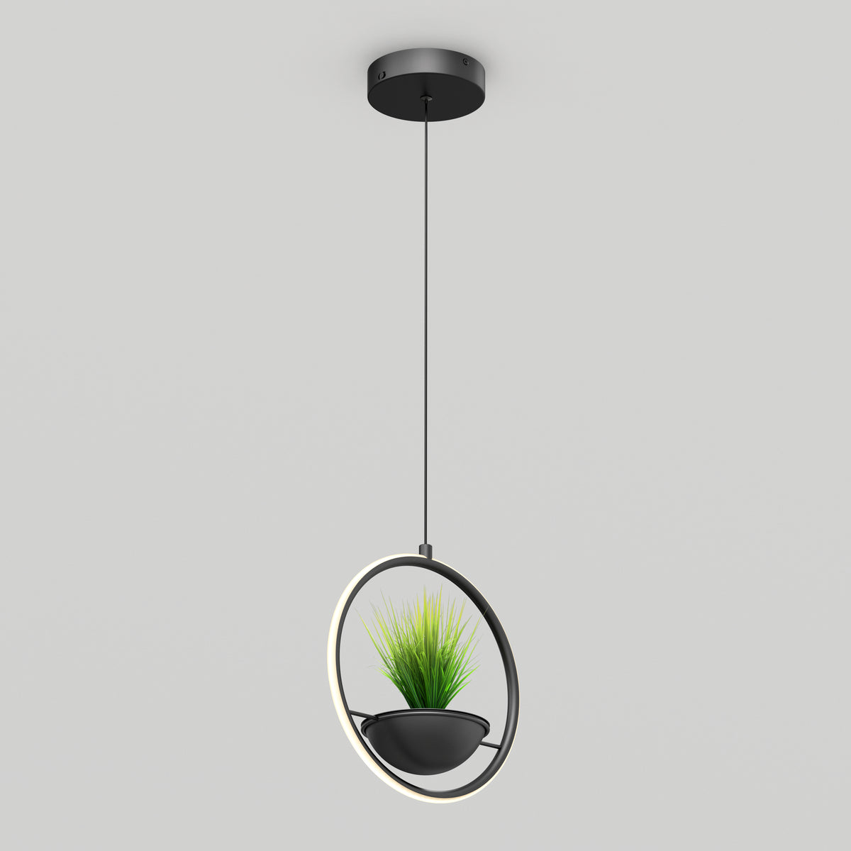 Colin lámpara suspendida moderno LED 5 CCT