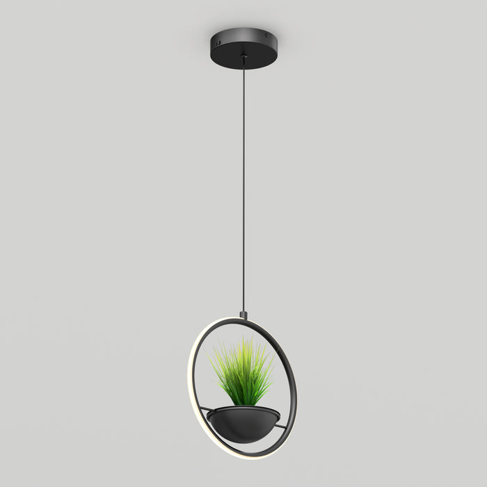 Colin LED modern planter pendant light 5 CCT