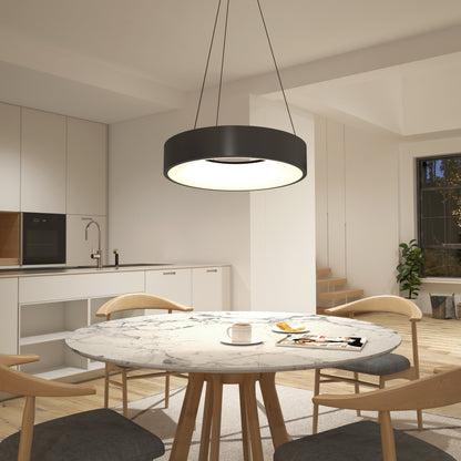 Aiden LED pendant light