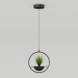 A modern pendant light with a circular frame, featuring a small green potted plant in a black bowl at the center, hanging from a black ceiling mount against a plain white background.