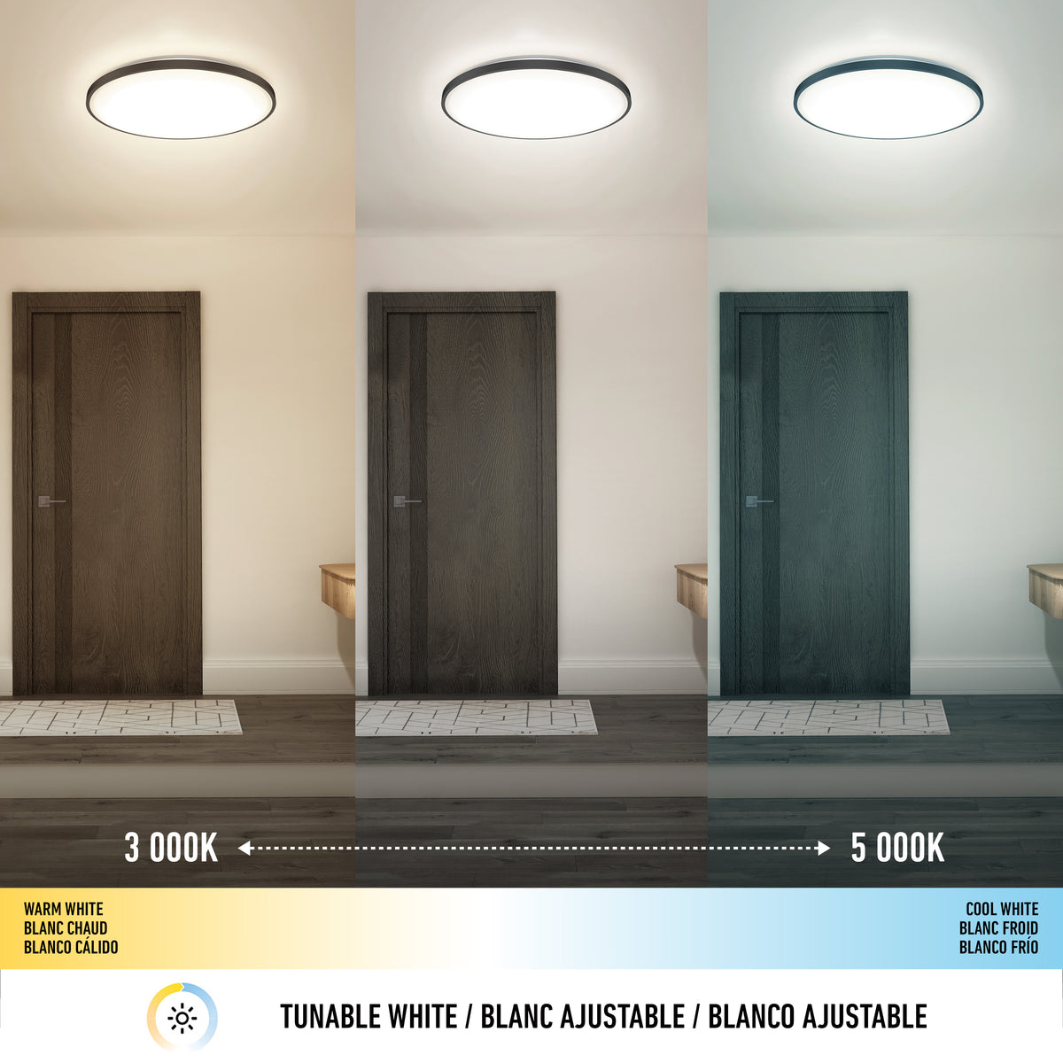 Europa 21 in. LED modern flush mount light - with remote