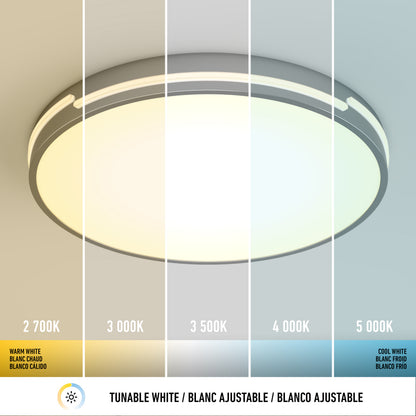 Delray 15.7 in. LED modern flush mount light 5 CCT